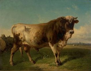 zRobbeLouis_Vache_G