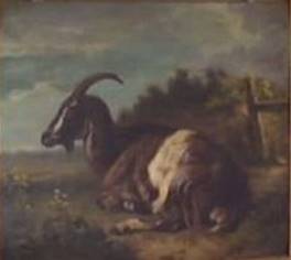 ZRobbeLouis_Chevre_A