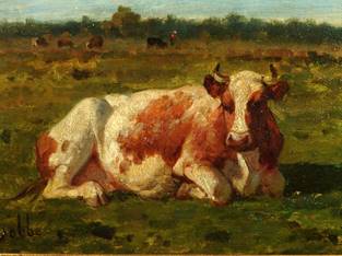 ZRobbeLouis_Vache_ZB